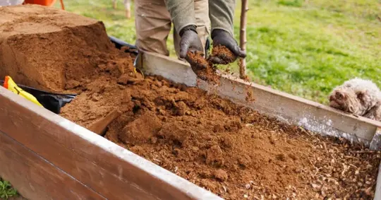Man preparing garden bed