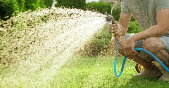 Man Watering Lawn with Hose in Backyard