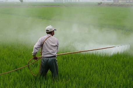A person is spraying pesticide